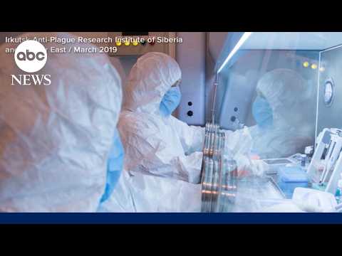 What to know about combating plague outbreaks