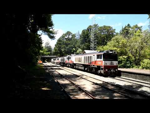 SCT Logistics with 6 Locomotives on 3MP9 and 7 Locomotives on 1PM9. Great to see and hear! 30/11/22