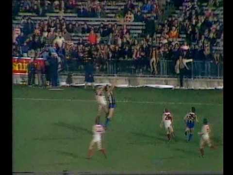 1982 Escort Cup Grand Final