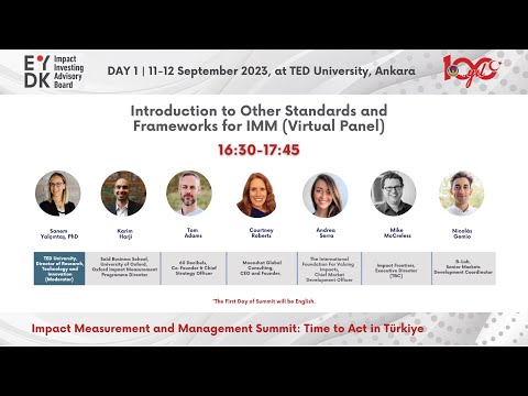 IMM Summit: Andrea Serra, Impact-Weighted Accounts Project