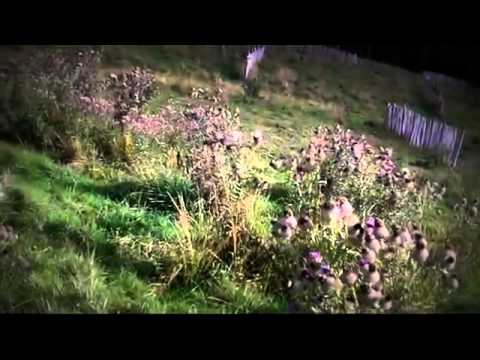 Straja Cazare - Cazat.ro