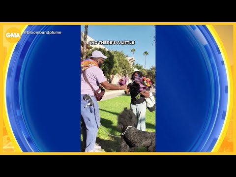 Floral artist spreads joy with free flowers - YouTube