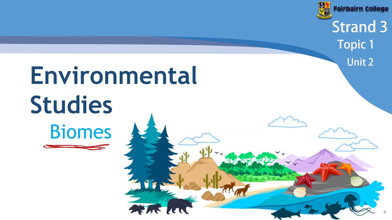 Gr10 LS - Ecology part 1