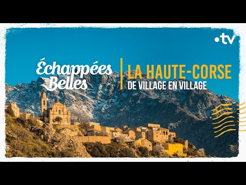 Vidéo YouTube