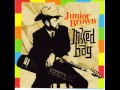 Junior Brown-Running with the Wind-Mixed Bag