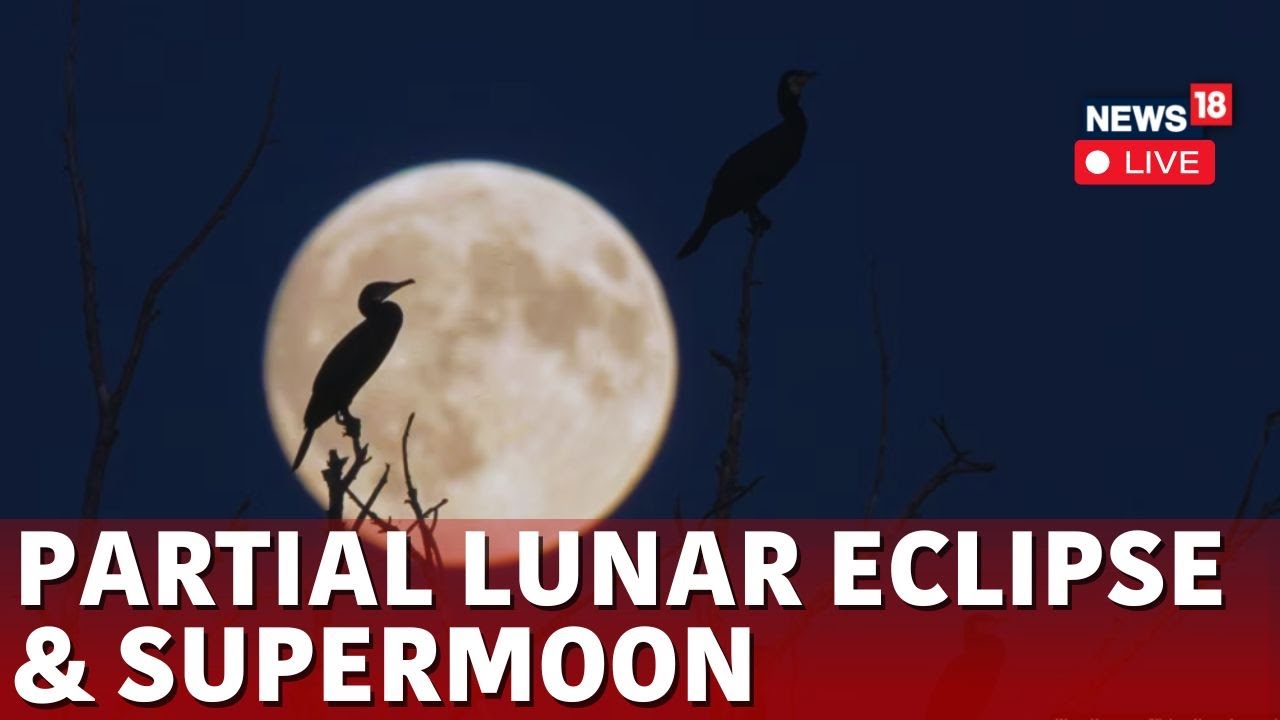 Live: Partial Lunar Eclipse & Supermoon! | Witness the Partial Lunar Eclipse & Supermoon LIVE- N18G