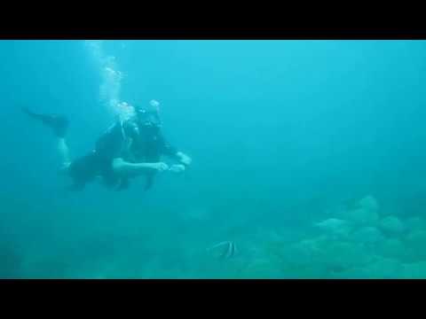 Wonderful diving in Negombo with Taprobane Divers