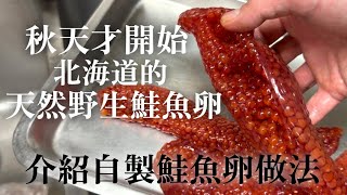 【壽司店鮭魚卵做法】大家一定吃過的鮭魚卵是這樣做!解釋秋天的味覺自製鮭魚卵做法跟在江戶前壽司店開始用的原因