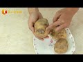 美容好食物－馬鈴薯挑選小撇步