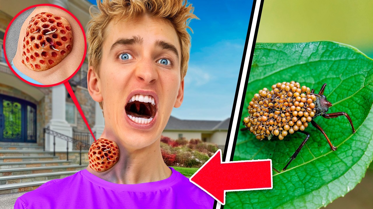 There's a Massive INFESTATION In My House!