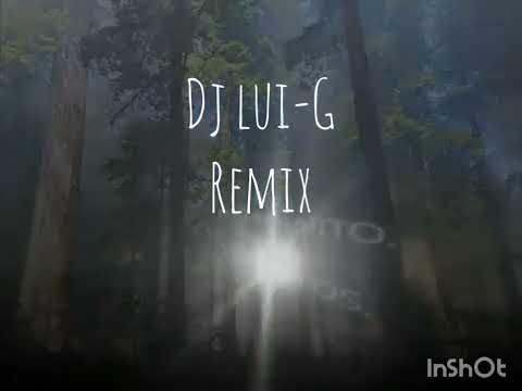 EL SERRANITO (REMIX) LOS MIRLOS DEL PERU (RMX DJ LUIGI)