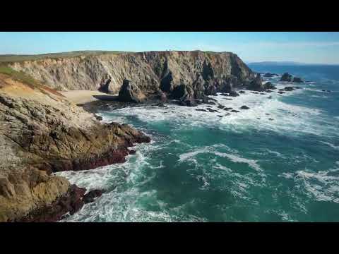 Bodega Bay coastline from above