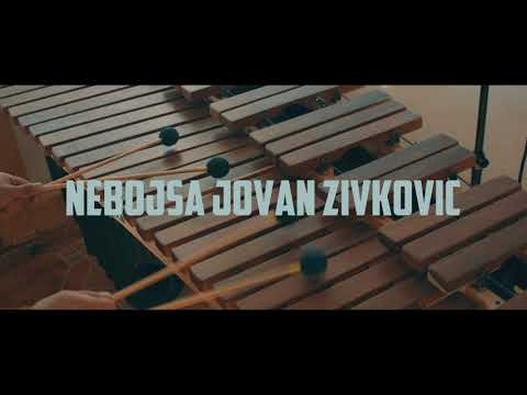 Bauern-Tanz. N.J. Zivkovic. From Funny Mallets Book I