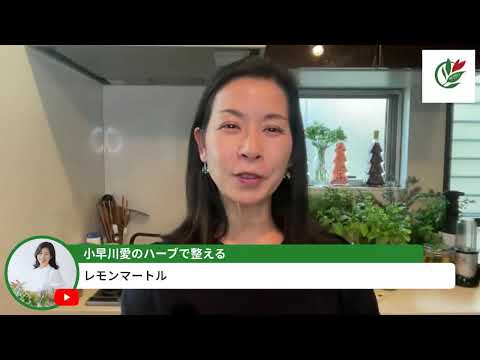 医療ビジネス薬科学科 フレッシュハーブの水差しを解説