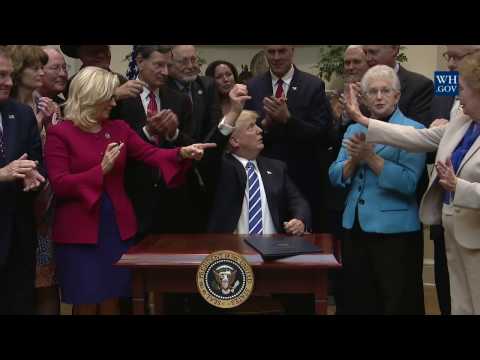 The Trump Administration’s War on Regulations