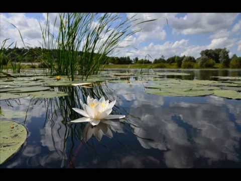 Claude Debussy -  Reflets dans l'eau - Reflections in the Water