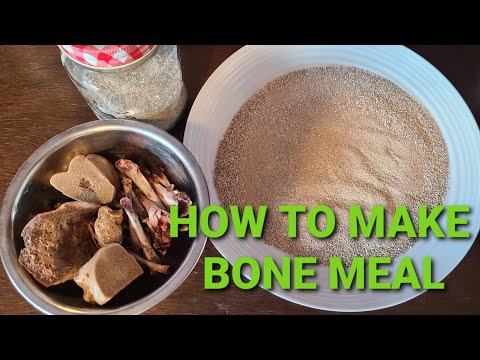 YouTube video about: How to make fish bone powder?
