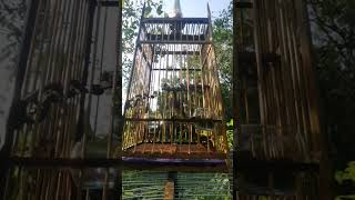 Download lagu suara burung merbah lekir mp3