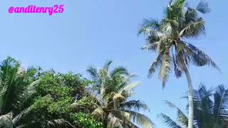 Download lagu Status WA, surah ar rahman mp3 Download lagu Status WA, surah ar rahman mp3