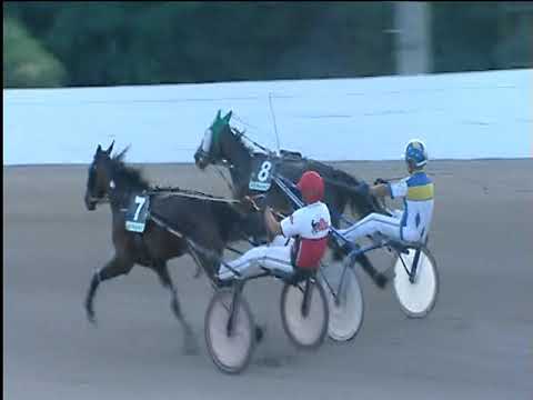 Trotto 06/07/2019 - 1ª corsa