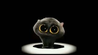 Cover art for The calamity