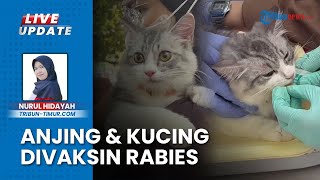 BBVet Maros Gandeng Dipertan Gelar Vaksinasi Rabies Hewan Gratis & Cek Kesehatan di Hutan Kota