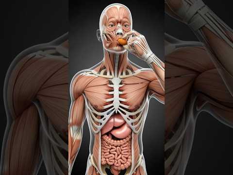 inside your body after you eating almad. #health #aidoctor