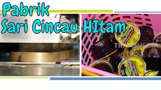 Download lagu RUMAH PEMBUATAN SARI CINCAU HITAM | Si Unyil (21/02/20) Part 1 mp3