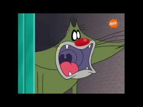 Happy Birthday 🎂😱😎🪳 (Oggy and the Cockroaches Hindi Dub) + New Channel Ontro