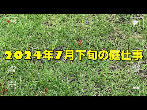 5月の庭で何をしましょうか？仕事と優れた実践方法の完全なガイド  庭園