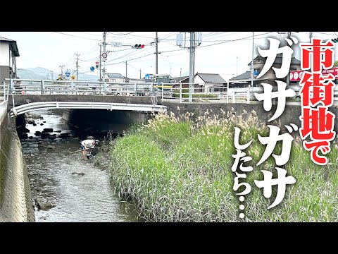 youtube-ガジェ・趣味記事2024/04/28 15:05:51