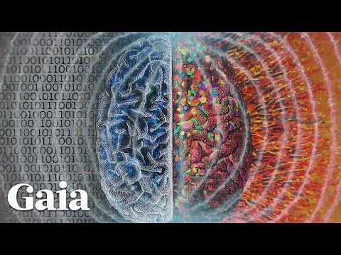 What Knowledge Lies within the Akashic Records?