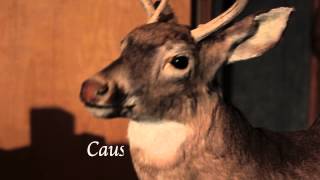 &quot;You Had Me at Meah&quot;