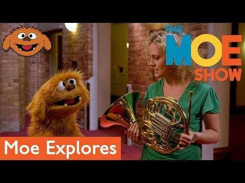 The Moe Show: Moe Explores - Orchestra