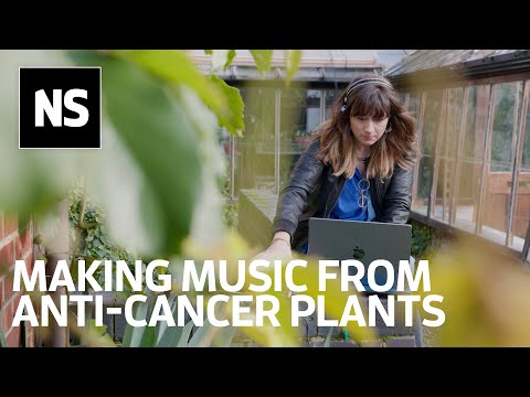 Medicinal music: Recording the bioelectric signatures of plants used in cancer treatment