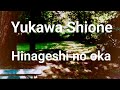 Yukawa Shione - Hinageshi no Oka 