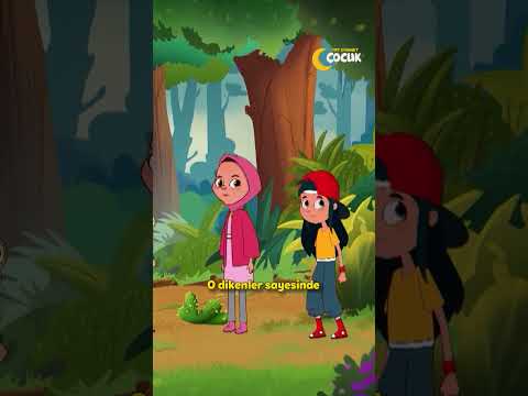 Isırgan Otu Neden Faydalıdır?🏕️