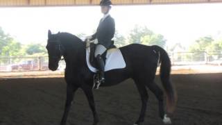 preview picture of video 'State of Jefferson Dressage Show - Oct. 2014'
