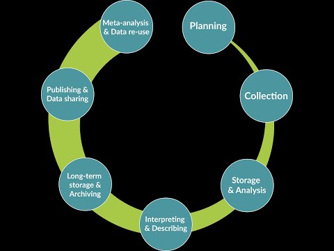 image-What is research data life cycle?
