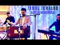 Alireza Mohammadi - JAMAL JAMALOO [Official Release] NEW Mast Song Afghan/Bandari Version Live 2023