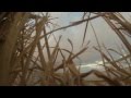 Quack Attack Duck Hunt 2014 