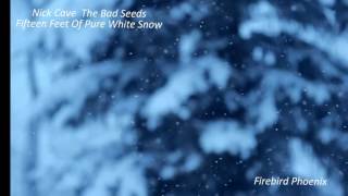 Nick Cave & The Bad Seeds  :  Fifteen Feet Of Pure White Snow