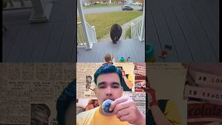 Download lagu Heroic Action of Cat Saving Baby 🥹 mp3