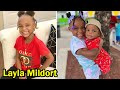 Layla Mildort THE BEAST FAMILY 5 Things You Didn T Know About Layla Mildort