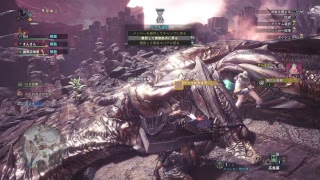モンスターハンターワールド　クシャルダオラ討伐#2