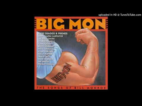 Heavy Traffic Ahead // Steve Wariner