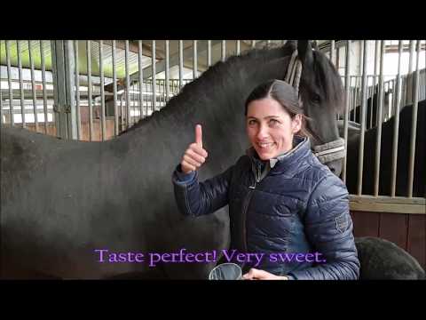 YouTube video about: Where to buy horse milk in usa?