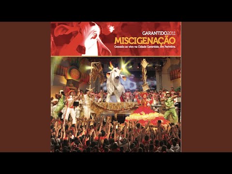 O Canto Do Xamã Kanamari - Boi Garantido