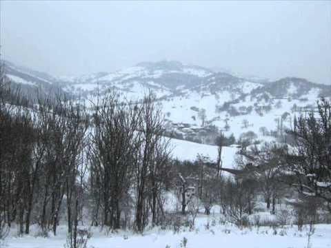 do kosovo zove zuca   BUSINCE