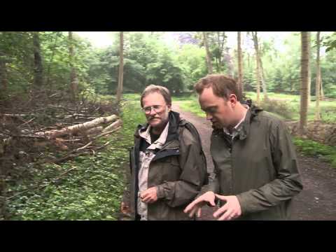 New Nordic cuisine: the art of food foraging